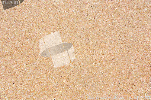 Image of wet sand