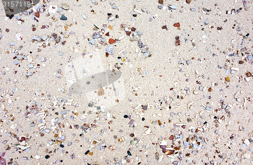 Image of beach background