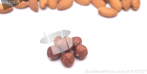 Image of nuts