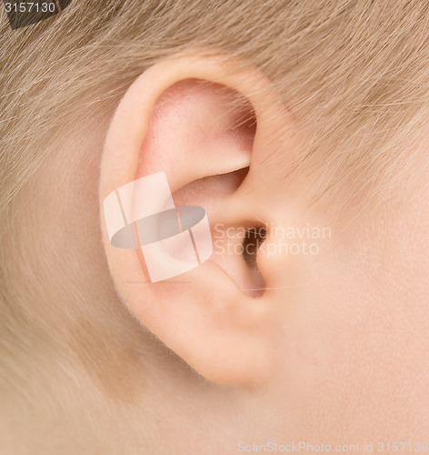 Image of baby ear