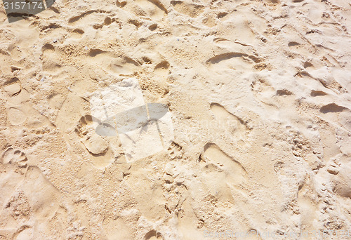 Image of beach sand