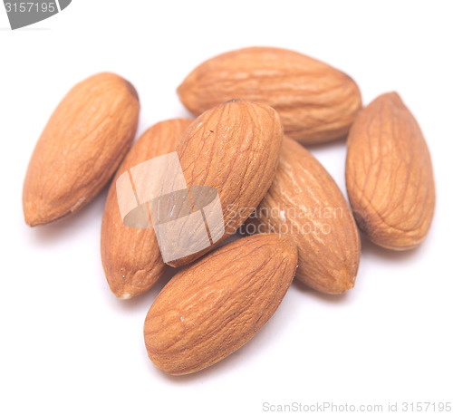 Image of almonds