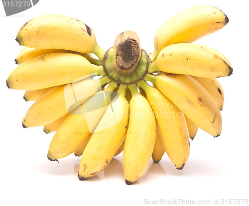 Image of bananas