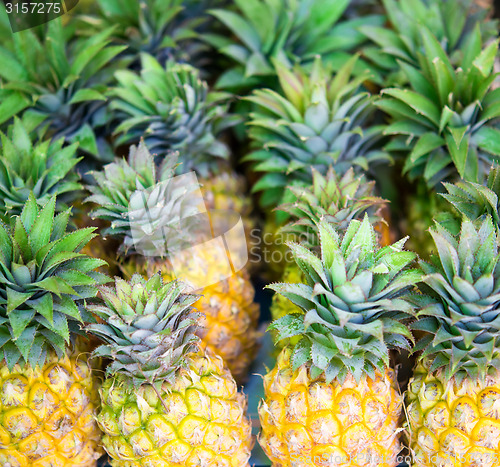 Image of pineapples