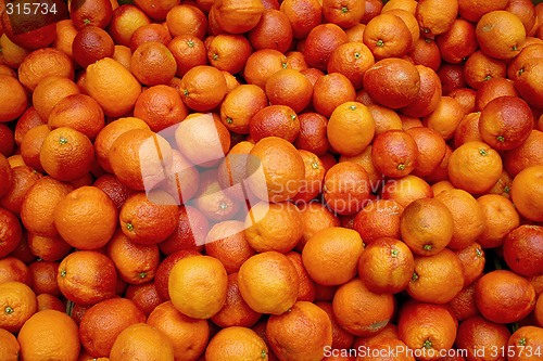 Image of Bloody oranges