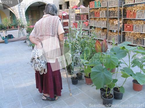 Image of Market day