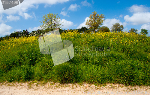 Image of Spring in Israel