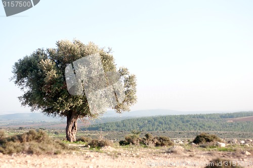 Image of Nature travel in Israel