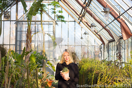 Image of Florists woman working in greenhouse. 