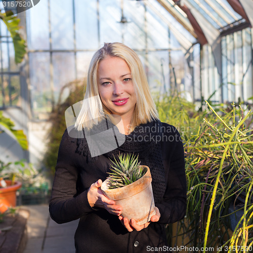 Image of Florists woman working in greenhouse. 