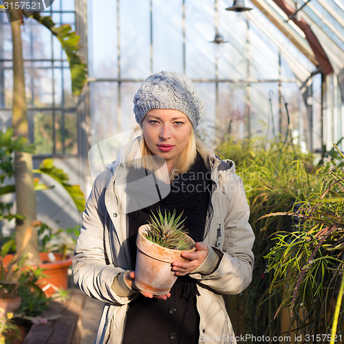 Image of Florists woman working in greenhouse. 