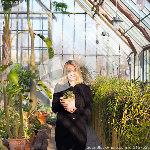 Image of Florists woman working in greenhouse. 