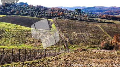 Image of 
Wineyard in the winter 					