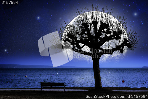 Image of Lake, tree and oversized moon