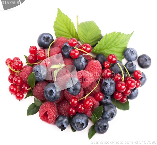 Image of Many blueberries, raspberries. Isolated white