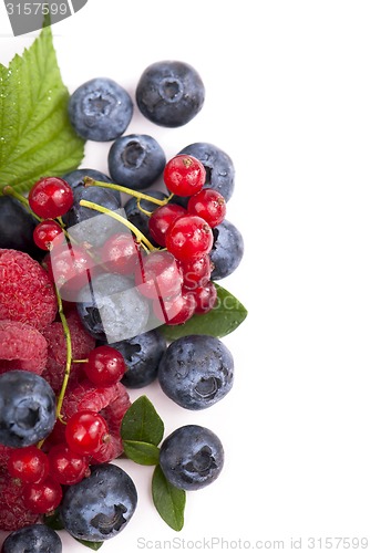 Image of Many blueberries, raspberries. Isolated white