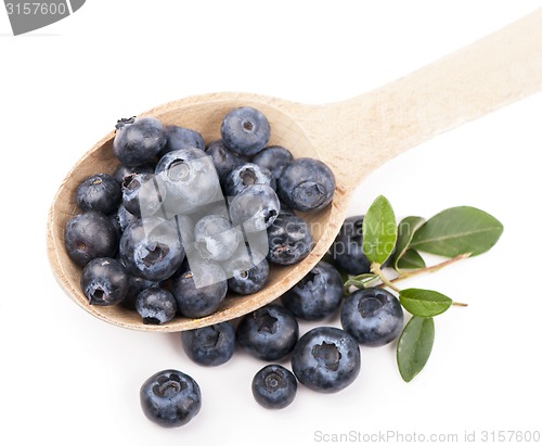 Image of blueberries,. Isolated white