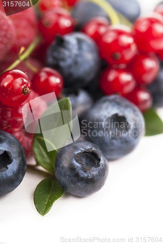 Image of Many blueberries, raspberries. Isolated white