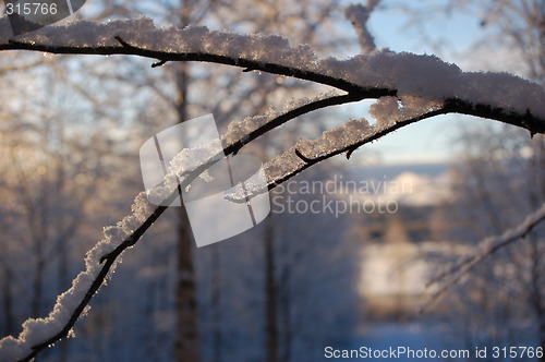 Image of Snow