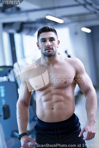 Image of handsome man exercising at the gym