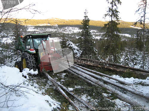 Image of workong in the forest