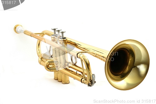 Image of gold trumpet