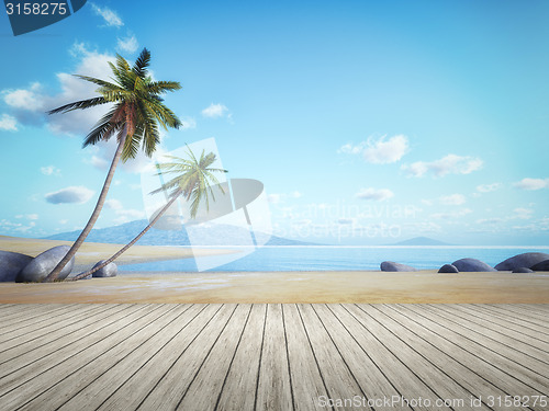 Image of palm tree beach