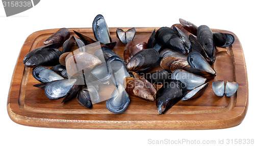 Image of Shells of mussels on wooden board