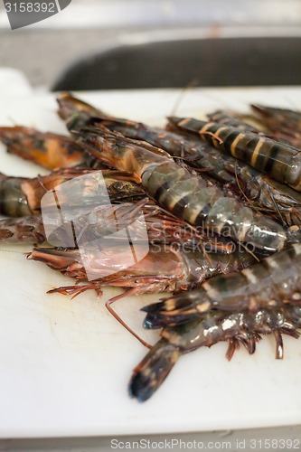 Image of Fresh tiger prawns