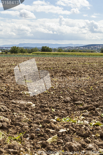 Image of Harvested potato field with rotovated earth