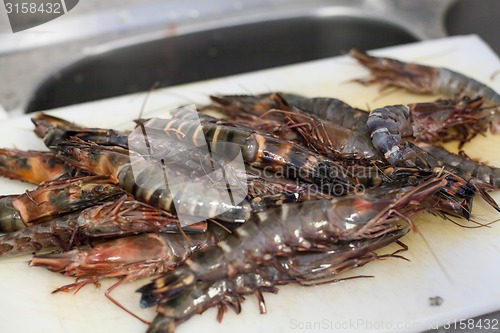 Image of Fresh tiger prawns