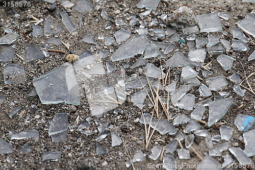 Image of Shattered Glass