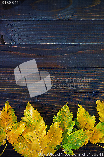 Image of autumn background