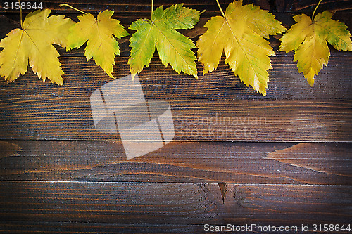 Image of autumn background