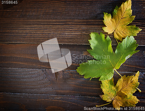 Image of autumn background