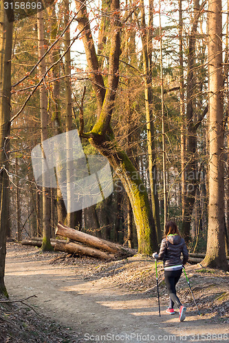 Image of Woman hiking in nature. 