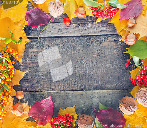 Image of autumn harvest