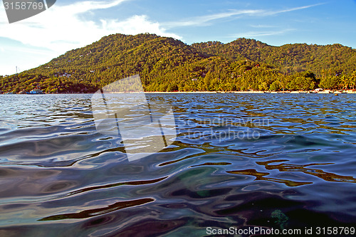 Image of   stone in thailand kho tao bay abstract of a  water   south chi