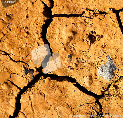 Image of  a broke star dry sand and lichens 