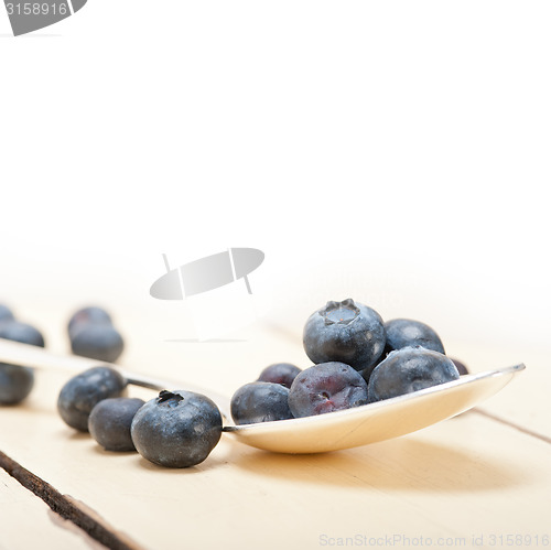 Image of fresh blueberry on silver spoon