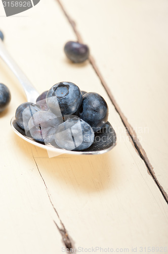 Image of fresh blueberry on silver spoon