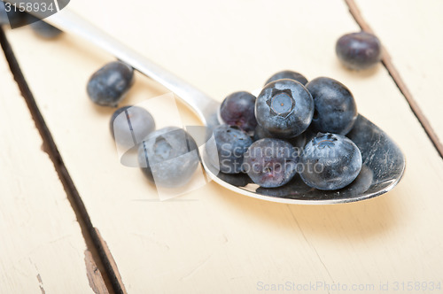 Image of fresh blueberry on silver spoon