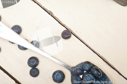 Image of fresh blueberry on silver spoon