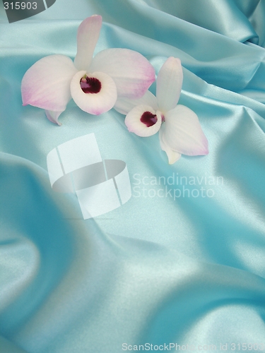 Image of Orchid on blue satin - 1