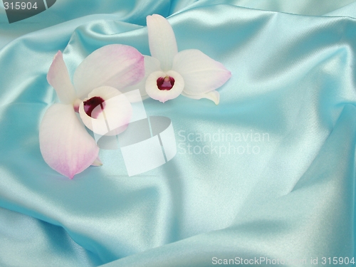 Image of Orchid on blue satin - 2