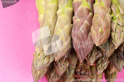 Image of Raw green asparagus close-up