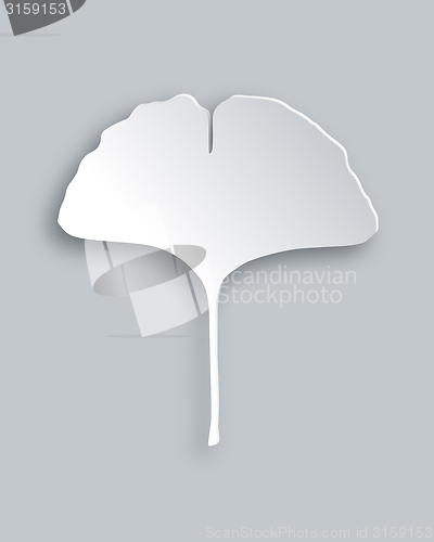 Image of Ginkgo leaf