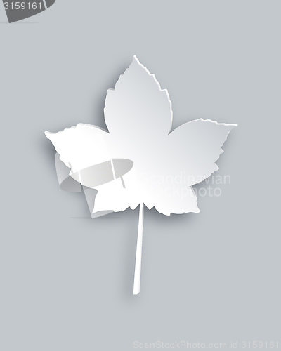 Image of Maple leaf
