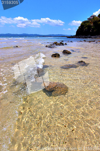 Image of andilana   seaweed in indian   sky and rock