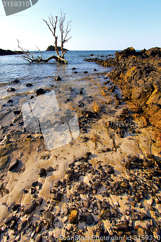 Image of andilana   seaweed in indian ocean  mountain   sand isle  sky  r